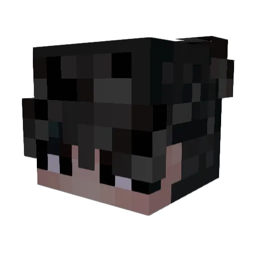RumbAA_ Minecraft avatar head, 3D render