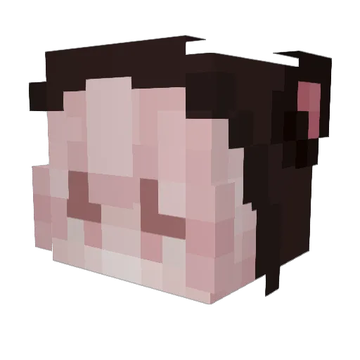 Rumin_ Minecraft avatar head, 3D render