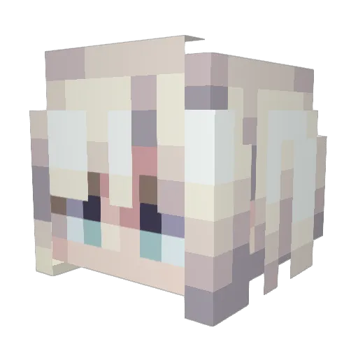 Rumirua Minecraft avatar head, 3D render