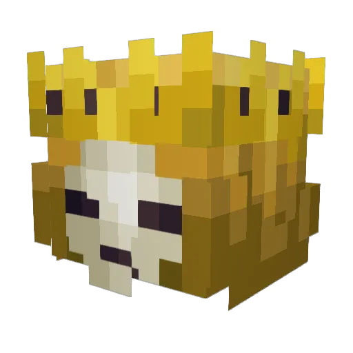Rumls Minecraft avatar head, 3D render