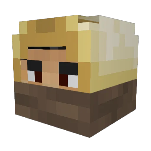 RummyB Minecraft avatar head, 3D render