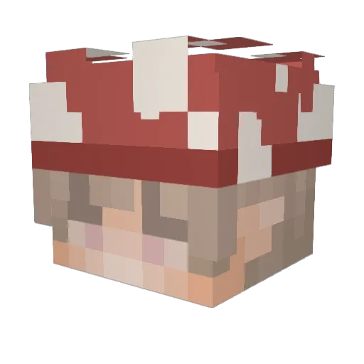 Rumnikki Minecraft avatar head, 3D render