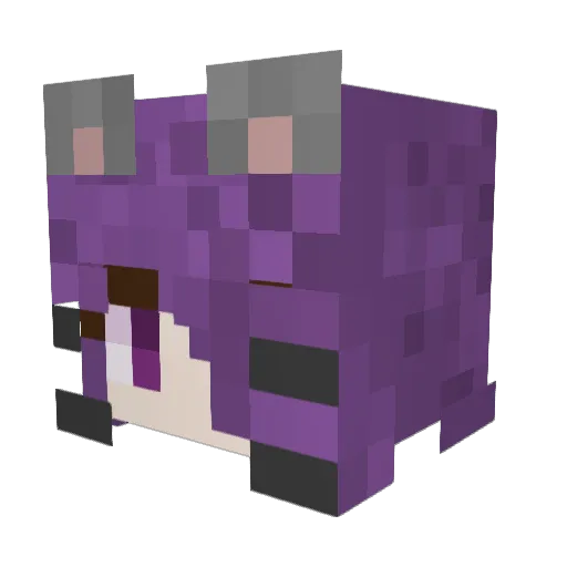 RumpanTheGreat Minecraft avatar head, 3D render