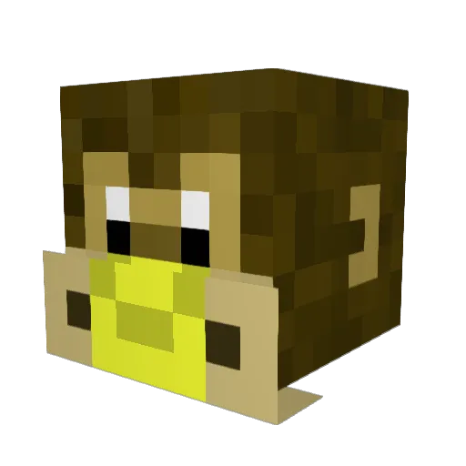 RunFromMee Minecraft avatar head, 3D render