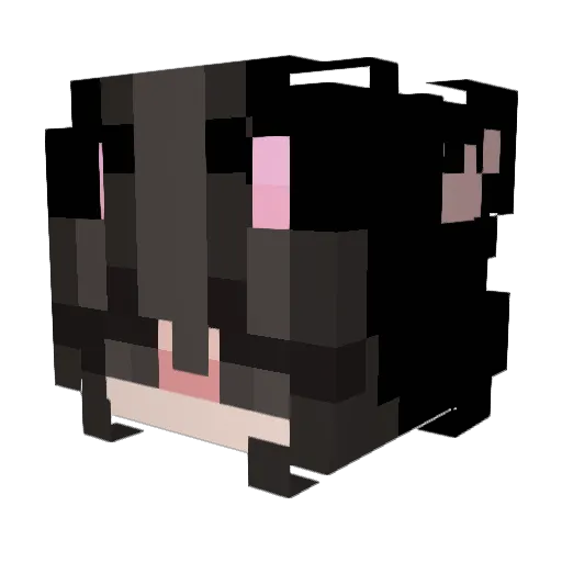 RunTz4SaLe Minecraft avatar head, 3D render