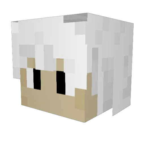 Run_RobinRun Minecraft avatar head, 3D render