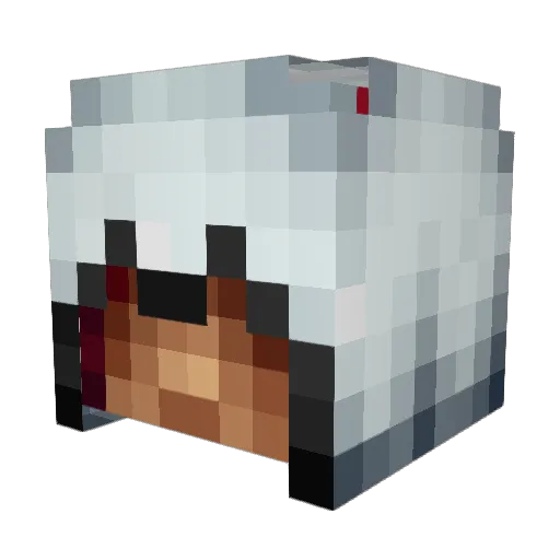 Runandgun74 Minecraft avatar head, 3D render