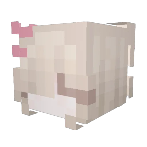 Runapii Minecraft avatar head, 3D render