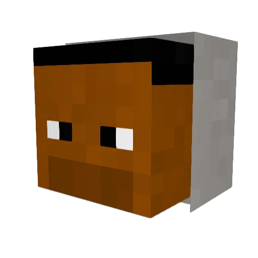 Runaway_Jr Minecraft avatar head, 3D render