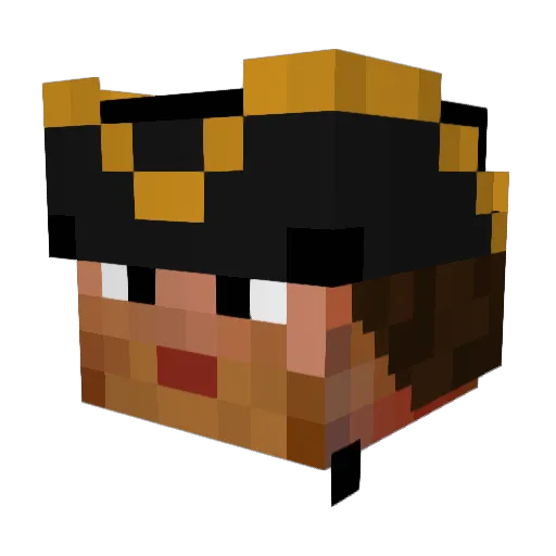 Runawaywolf Minecraft avatar head, 3D render