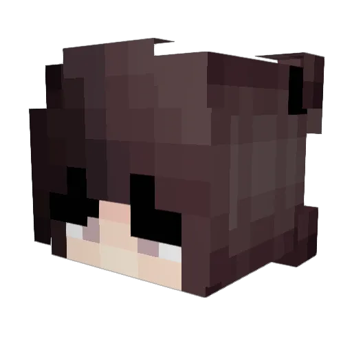 Runay3137 Minecraft avatar head, 3D render