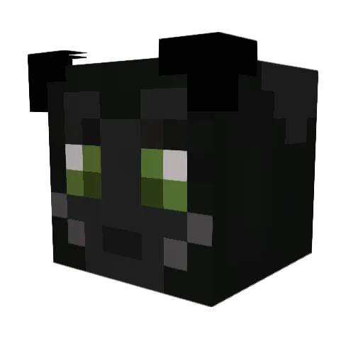 Runcis Minecraft avatar head, 3D render