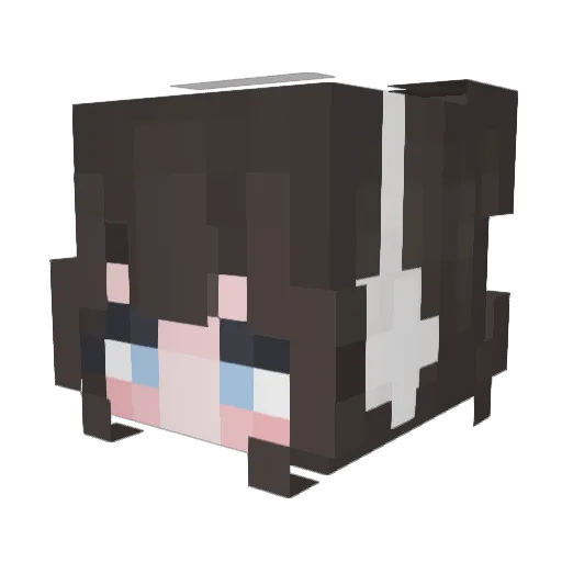 Rung_2 Minecraft avatar head, 3D render