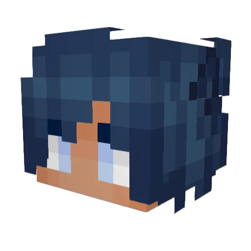 RunicRaine Minecraft avatar head, 3D render