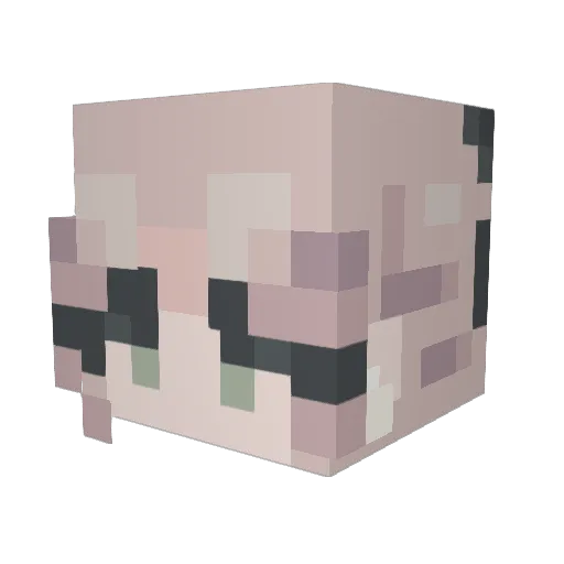 Runisse Minecraft avatar head, 3D render