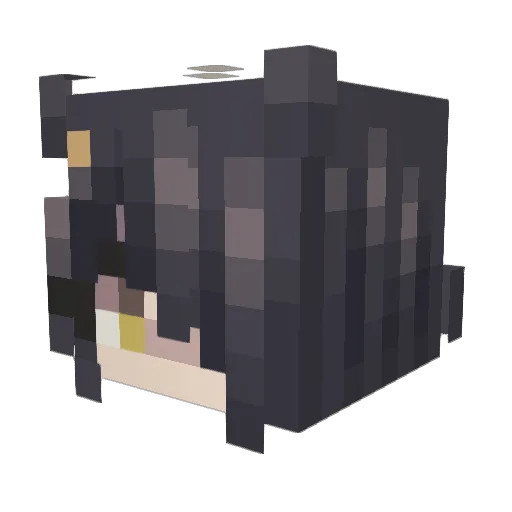 Runnhead Minecraft avatar head, 3D render