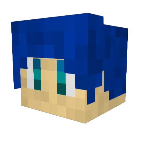 Runty312 Minecraft avatar head, 3D render