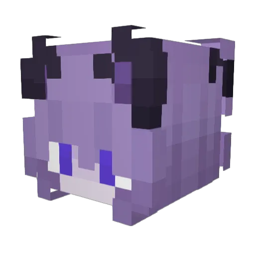 RuoNan_1212 Minecraft avatar head, 3D render