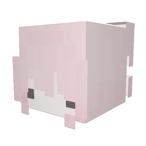 Ruoix Minecraft avatar head, 3D render