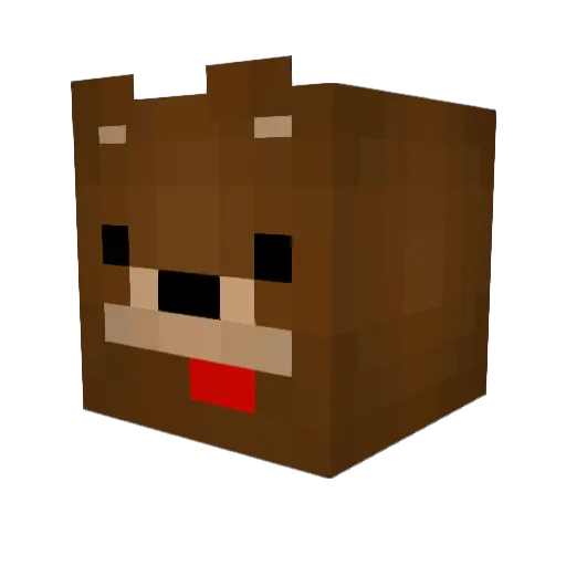 Rupa0305 Minecraft avatar head, 3D render