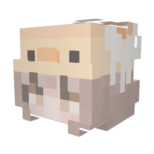Ruperlike520 Minecraft avatar head, 3D render