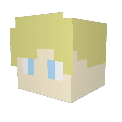Rupert204 Minecraft avatar head, 3D render
