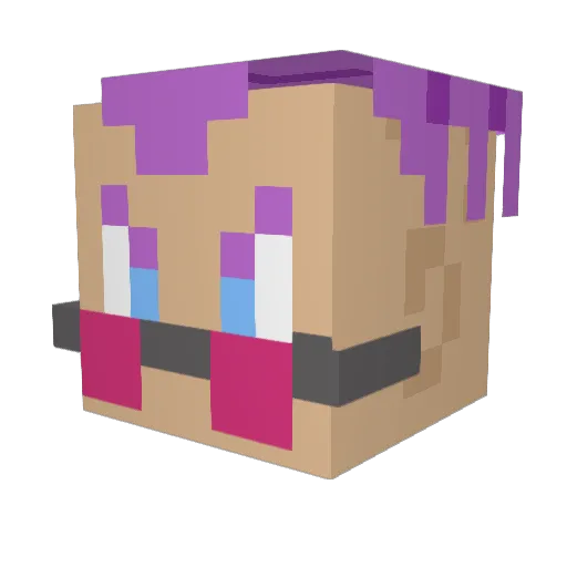Rupertcito Minecraft avatar head, 3D render