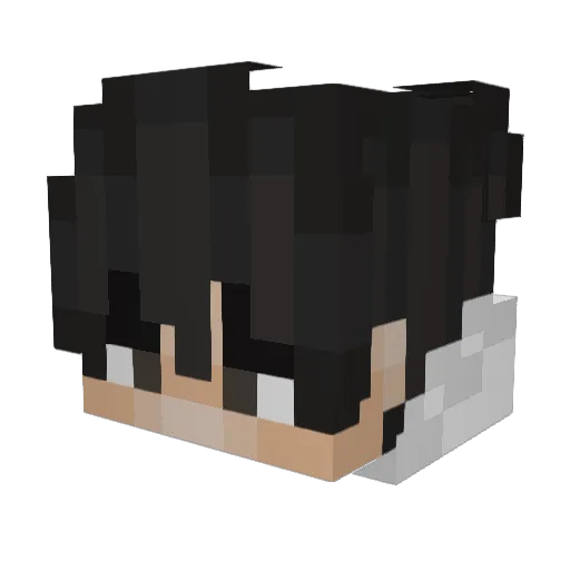Rupterr Minecraft avatar head, 3D render