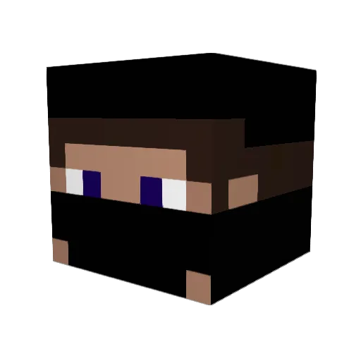 Rupture912 Minecraft avatar head, 3D render