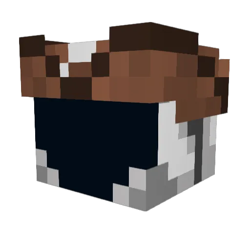 Ruq_is_uwu Minecraft avatar head, 3D render