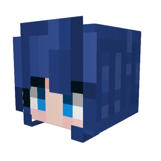 Ruqeirsa Minecraft avatar head, 3D render