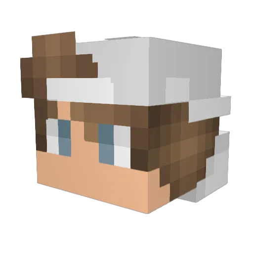 RuralBook Minecraft avatar head, 3D render