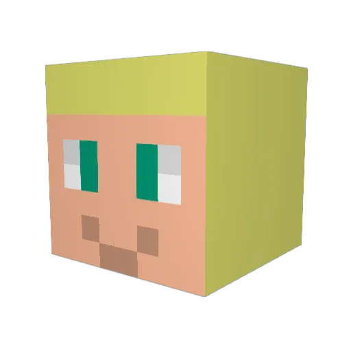Ruru_Marks Minecraft avatar head, 3D render