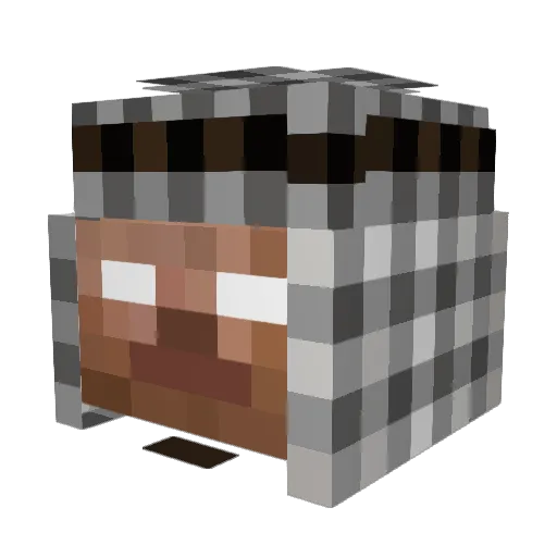 Rush122 Minecraft avatar head, 3D render