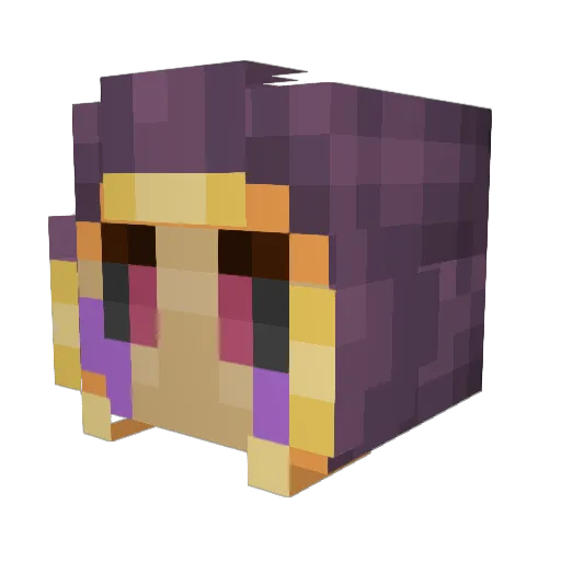 Rush990 Minecraft avatar head, 3D render