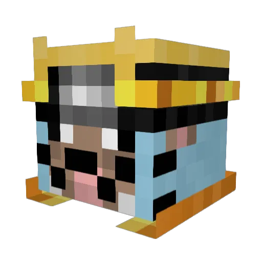 RushR_YT Minecraft avatar head, 3D render