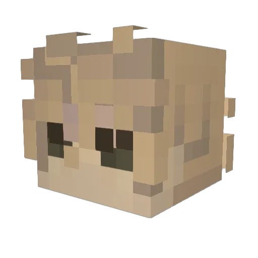 RushTX Minecraft avatar head, 3D render