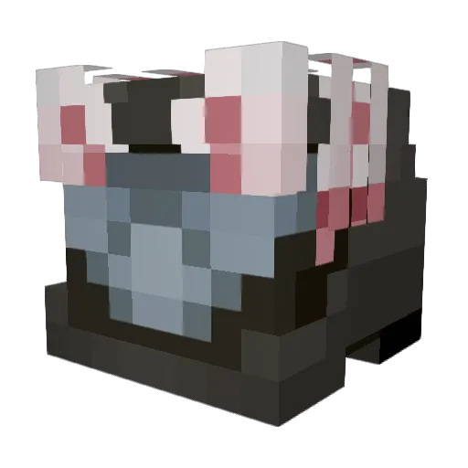 Rushanish Minecraft avatar head, 3D render