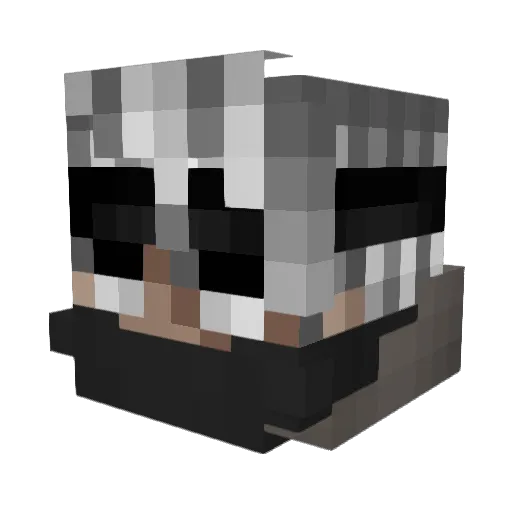 Rusher91 Minecraft avatar head, 3D render