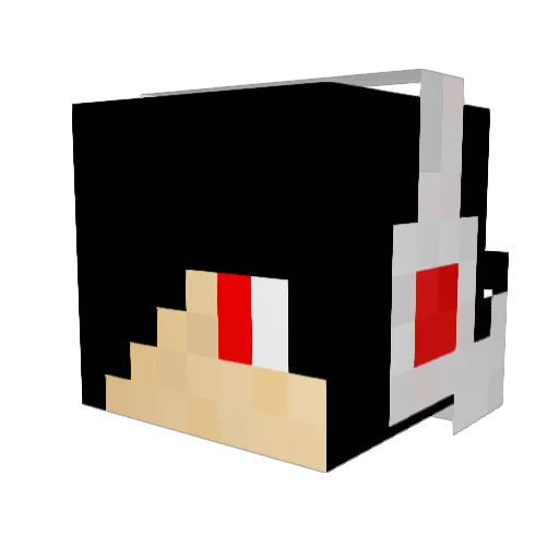 RusherFegBOT2B2T Minecraft avatar head, 3D render