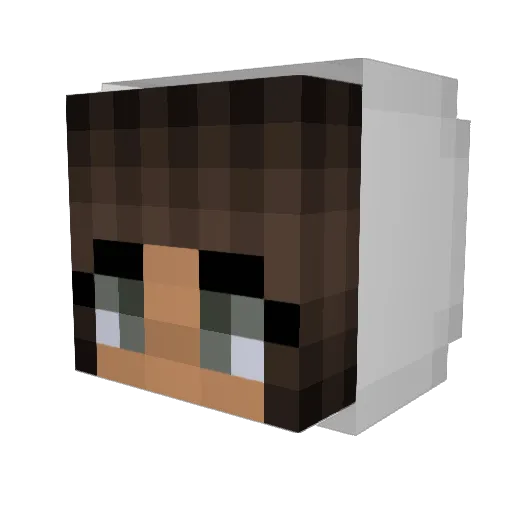 Rusher_079 Minecraft avatar head, 3D render