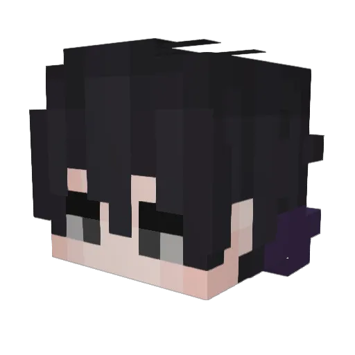 Rushian591 Minecraft avatar head, 3D render