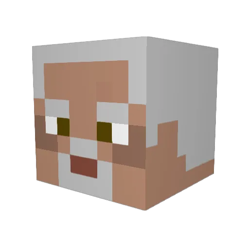 RushingBeaver Minecraft avatar head, 3D render