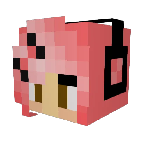 RushingMadness Minecraft avatar head, 3D render