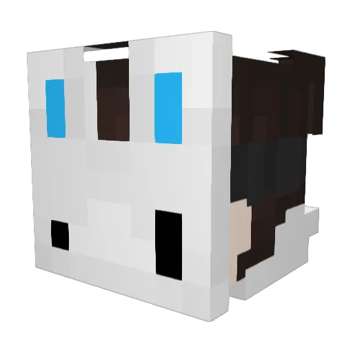 Rushium_ Minecraft avatar head, 3D render