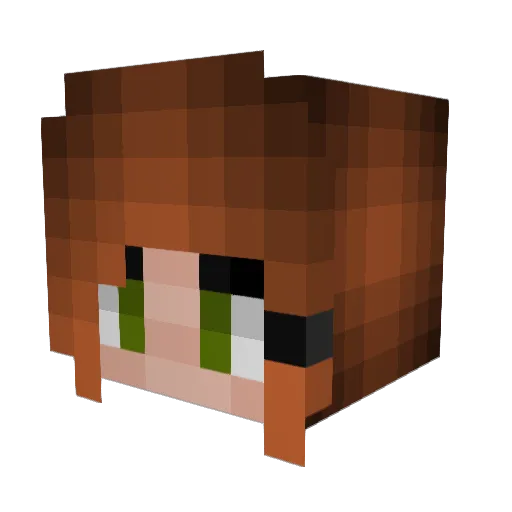 Rushje Minecraft avatar head, 3D render
