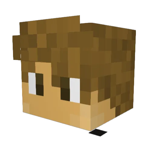 RusianDerpFace Minecraft avatar head, 3D render