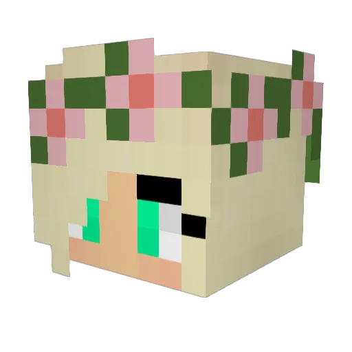 Rusick22820 Minecraft avatar head, 3D render
