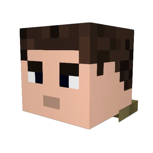 Ruskin2011 Minecraft avatar head, 3D render