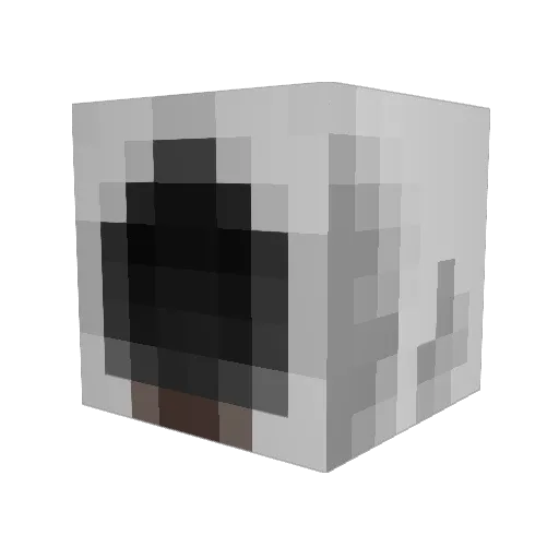 Russbags Minecraft avatar head, 3D render